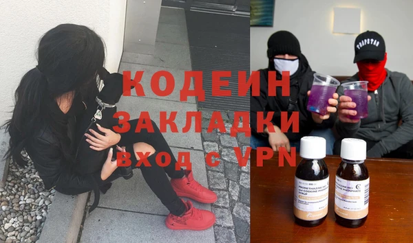 стаф Алексин