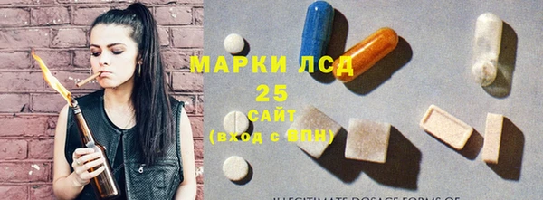 стаф Алексин