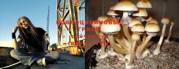 кокаин Приозерск