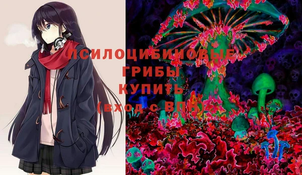 мдпв Алексеевка